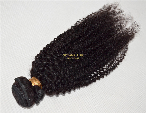 Virgin brailian afro kinky curly human hair extensions